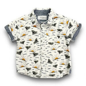 Paper Denim & Cloth | Boy’s Short Sleeve Button Down (6) 🦈